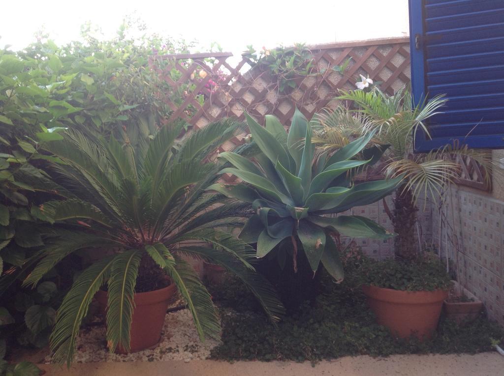 Kings With Private Garden Apartment